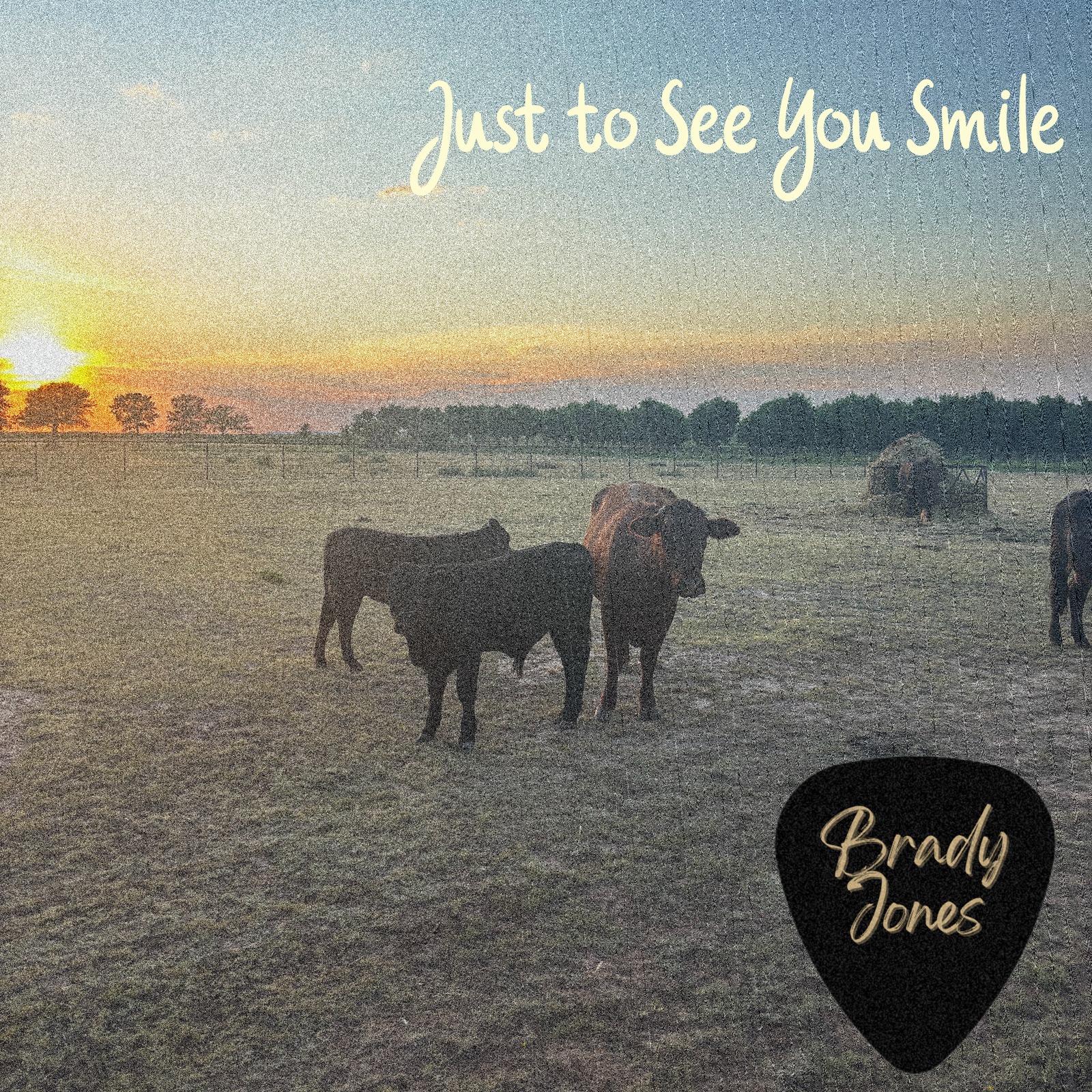Just to See You Smile